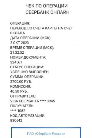 Escort girl Карина